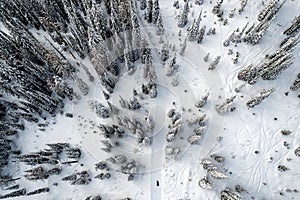 Aerial view of winter landscape atop alpine forest mountain top