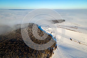 Aerial view of winter landscape with dark bare forest trees covered with dense fog