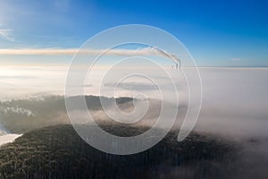 Aerial view of winter landscape with dark bare forest trees covered with dense fog