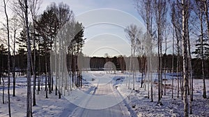 Aerial view of winter landscape with snow covered road. Action. Flying along rare trees towards the forest and blue