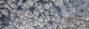 Aerial view of a winter snow-covered pine forest. Aerial drone view of a winter landscape. Snow covered forest BANNER