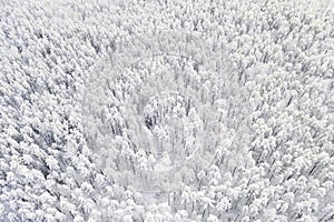 Aerial view of a winter snow covered pine forest. Winter forest texture. Aerial view. Aerial drone view of a winter landscape.