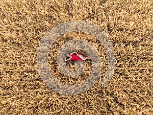 Aerial view of woman in red dress lying in the field of wheat