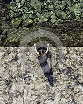 Aerial view of a woman sitting on the pier looking at the sea in Novigrad old town, Istria, Croatia