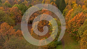 Aerial view of a woman walking along a path in the park. Golden autumn in St. Petersburg