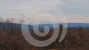 Aerial View: Wooded Hill and Provencal Village