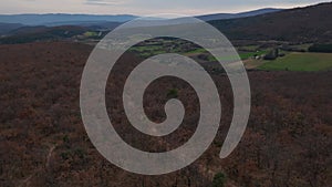 Aerial View: Wooded Hill and Provencal Village