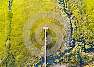 Aerial view of wooden bridge over a swamp
