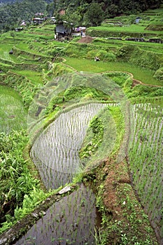 Aerial view of world famous rice terraces, Banaue