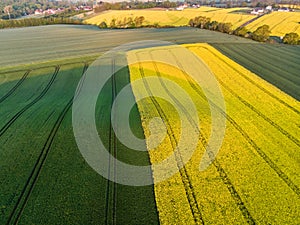 Aerial view of yellow canola and green grain fields
