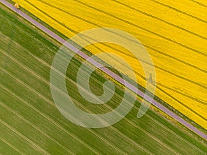 Aerial view of yellow canola and green grain fields divided by a country road