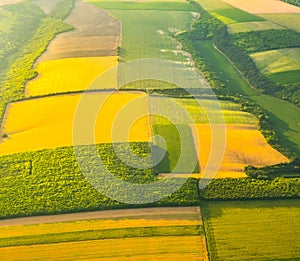 Aerial view of yellow and green agricultural fields.