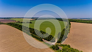 Aerial view of the yellow and green fields.