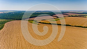 Aerial view of the yellow and green fields.