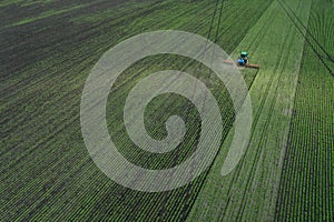 Aerial view of a young beetroot field and a tractor spraying fertilizer