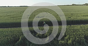 Aerial view on young boy, that rides a bicycle thru a wheat grass field on the old rural road. Sunlight and beams.