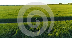 Aerial view on young boy, that rides a bicycle thru a wheat grass field on the old rural road. Sunlight and beams.