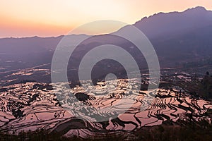 Aerial view of Yuanyang Rice Terraces at sunrise