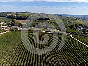 Aerial views of green vineyards around of medieval town St. Emilion, production of red Bordeaux wine on cru class vineyards in