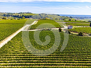 Aerial views of green vineyards around of medieval town St. Emilion, production of red Bordeaux wine on cru class vineyards in