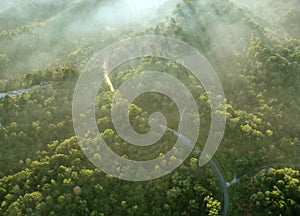 Aerial views of roadway with rainforest