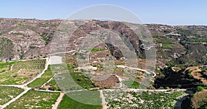 Aerial Vineyard, Limassol, Cyprus