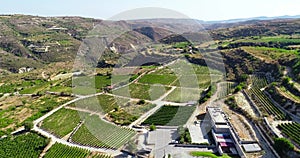 Aerial Vineyard, Limassol, Cyprus