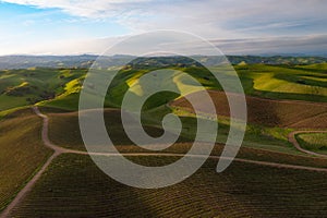 Aerial of Vineyards and Hills in Livermore, California