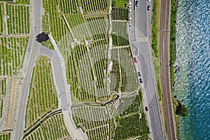 Aerial of vineyards by the lake, Lavaux, Switzerland