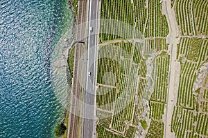 Aerial of vineyards by the lake, Lavaux, Switzerland