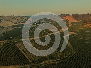 Aerial Vineyards Shots - California Wineries