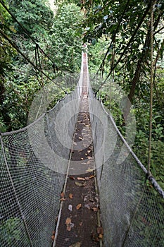 Aerial Walkway in Costa Rica