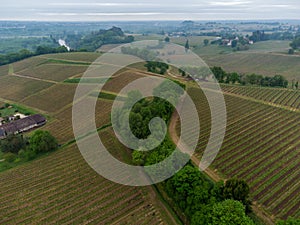 Aerial wiev Fronsac Vineyard landscape, Vineyard south west of France, Europe