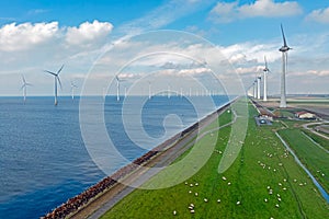 Aerial from wind turbines at the IJsselmeer in the Netherlands with sheep on the dyke