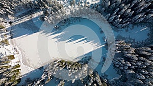 Aerial winter view on snowy icy white lake and pine forest in Low Tatras of Slovakia