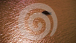 Aerial yacht on calm sea. Luxury cruise trip. View from above of white boat with golden bokeh lights from sun on calm