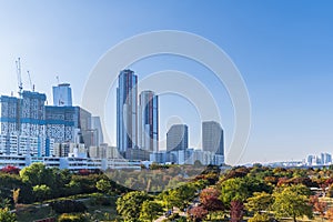 Aerial of yeouido Hangang park in autumn season with skyscrapers and  modern buildings cityscape, Seoul city, Republic of