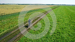 AERIAL: Young man cycling on bicycle at rural road through green and yellow field.