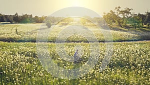 Aerial of young woman riding bicycle at dirt road. Sun green flowers meadow. Summer nature landscape