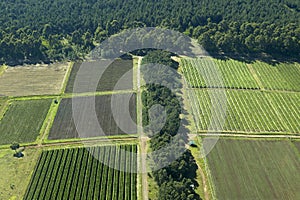 Aerials of Lewa Conservancy showing fence line of protected areas and encroaching farming in Kenya, Africa