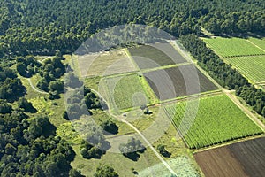 Aerials of Lewa Conservancy showing fence line of protected areas and encroaching farming in Kenya, Africa photo