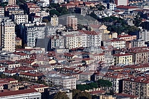 aerialview of la spezia from a hill photo