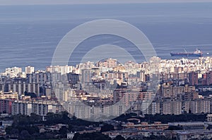 aerialview of palermo photo