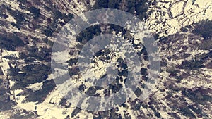 Aeriel view of winter forest.