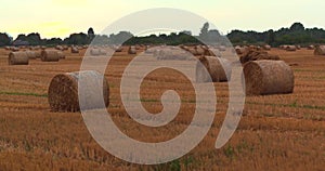 Aerilal Shot Field with Straw Bales Under Sunset Sky UltraHD