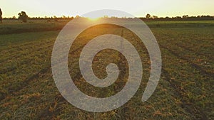 Aero Flight over the clear field in sunset