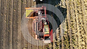 aero top view. Farm machinery Harvesting fresh organic potatoes in an agricultural field. coupled with a tractor, Red