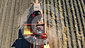 aero top view. Farm machinery Harvesting fresh organic potatoes in an agricultural field. coupled with a tractor, Red