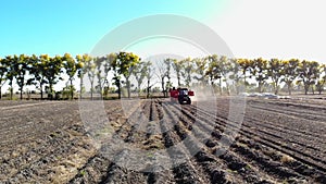 Aero video. Farm machinery Harvesting fresh organic potatoes in an agricultural field. coupled with a tractor, Red