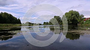 Aero video recording. Summer, in the afternoon, the river landscape with water lilies. around there are the trees, reeds